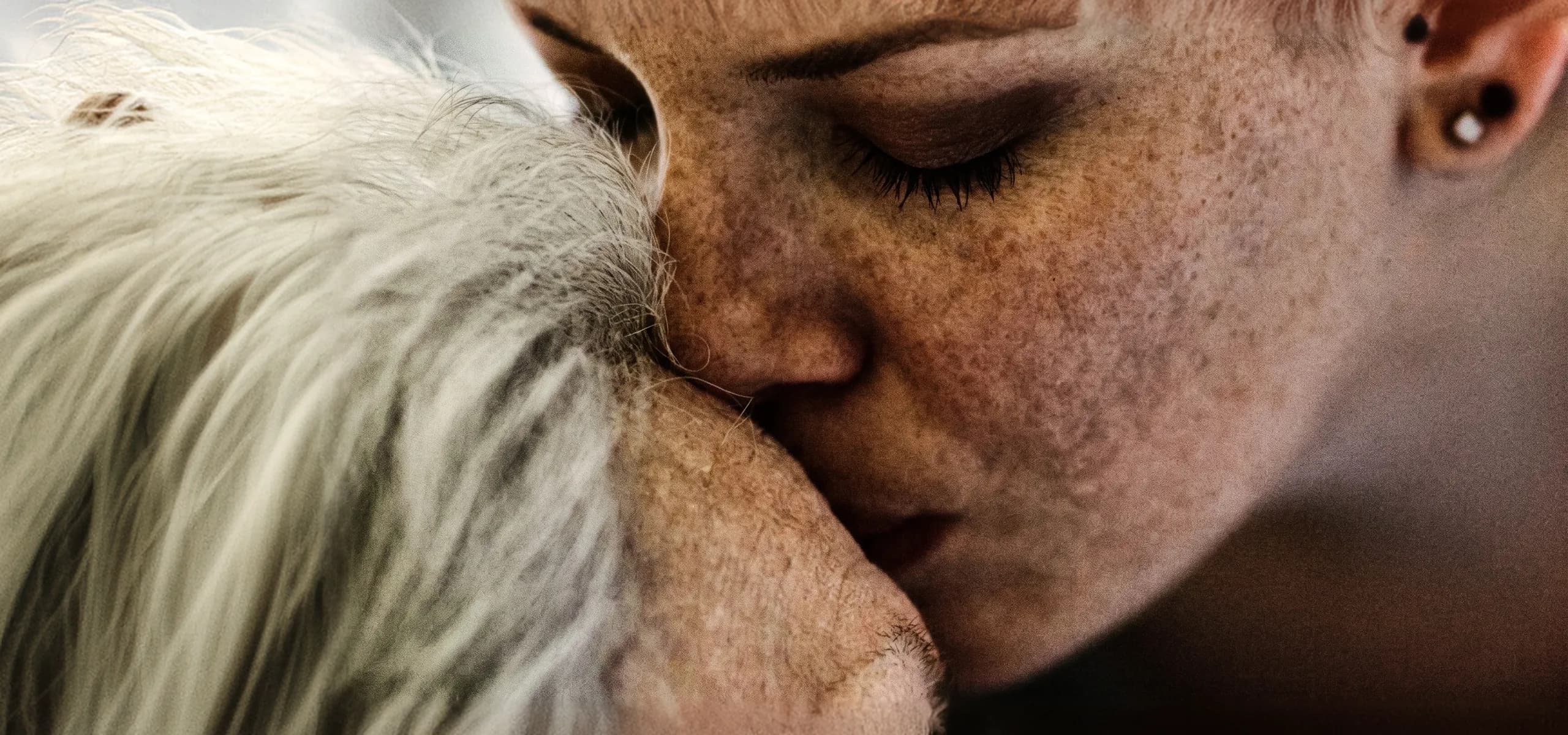 A grandmother and her grandchild resting cheek to cheek